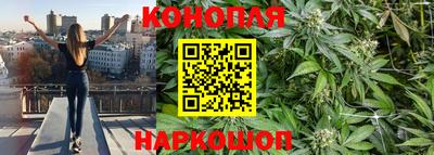 ПСИЛОЦИБИНОВЫЕ ГРИБЫ Балахна
