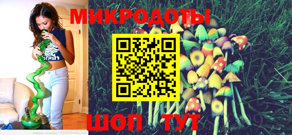 Губкинский  Псилоцибиновые грибы Psilocybe  Вход с VPN 
